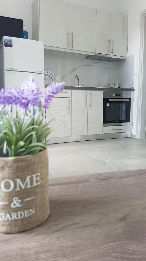 Erika Boutique Apartments Никити Экстерьер фото